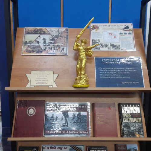 В Лаишевской библиотеке представлена книжная выставка «И превращался в пепел снег…»