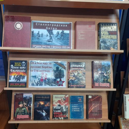 В Лаишевской библиотеке представлена книжная выставка «И превращался в пепел снег…»