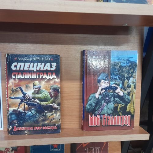 В Лаишевской библиотеке представлена книжная выставка «И превращался в пепел снег…»