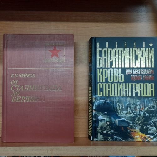 В Лаишевской библиотеке представлена книжная выставка «И превращался в пепел снег…»