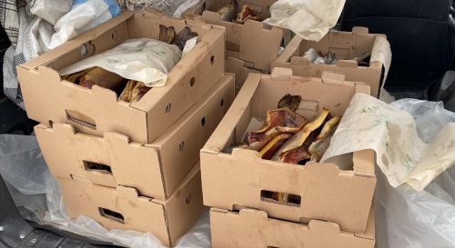 Пятнадцать тонн гуманитарного груза направлено в зону СВО из Лаишевского района