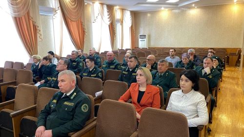 В Лаишевском лесничестве в 2024 году выполнено лесовосстановление на площади 20 га