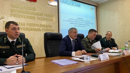 В Лаишевском лесничестве в 2024 году выполнено лесовосстановление на площади 20 га