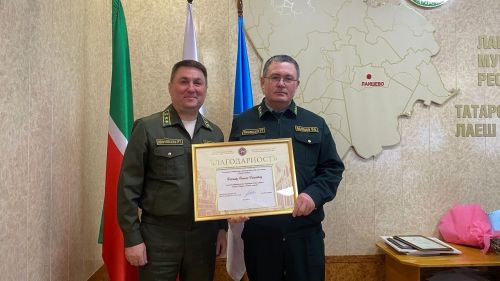В Лаишевском лесничестве в 2024 году выполнено лесовосстановление на площади 20 га