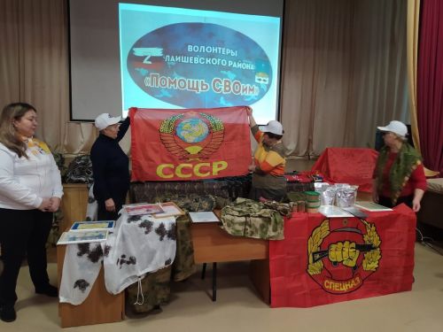Волонтеры Лаишевского района рассказали «Орлятам России» о своей деятельности