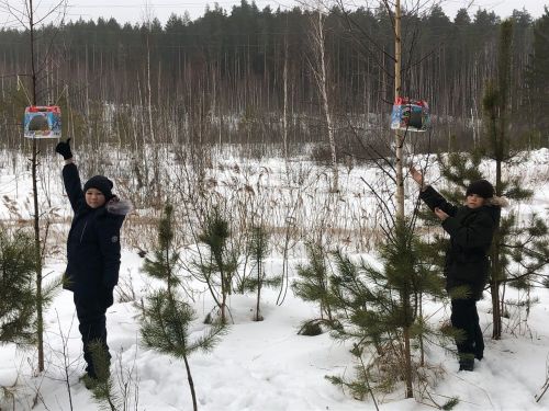 К акции «Птицам будем помогать» присоединяются многие жители Лаишевского района