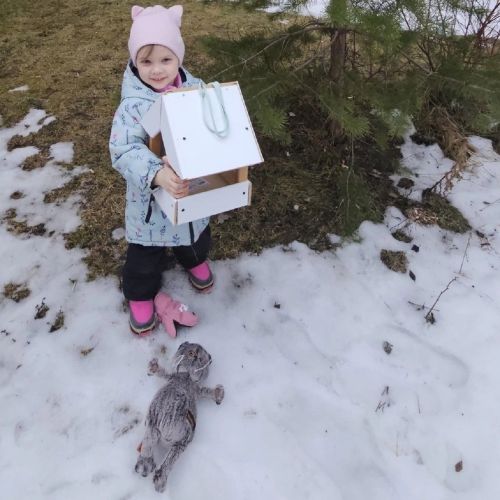 К акции «Птицам будем помогать» присоединяются многие жители Лаишевского района