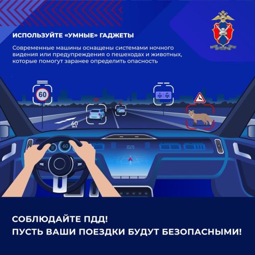 Как предотвратить столкновение с дикими животными на загородных дорогах