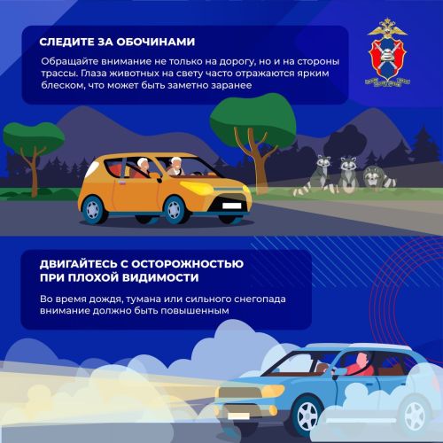 Как предотвратить столкновение с дикими животными на загородных дорогах