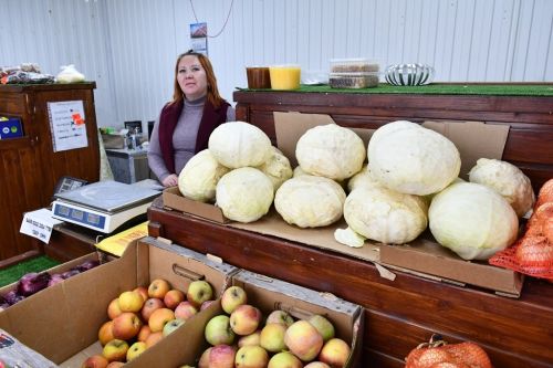 Ильдус Зарипов посетил сельхозпредприятия района
