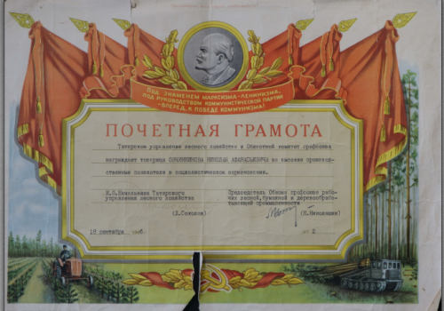 Орденоносец и целинник Николай Овчинников — вот такой он, дитя войны