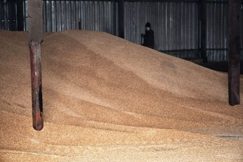 Ильдус Зарипов посетил сельхозпредприятия района
