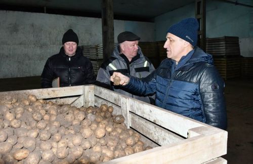 Илдус Зарипов районның авыл хуҗалыгы предприятиеләрендә булды