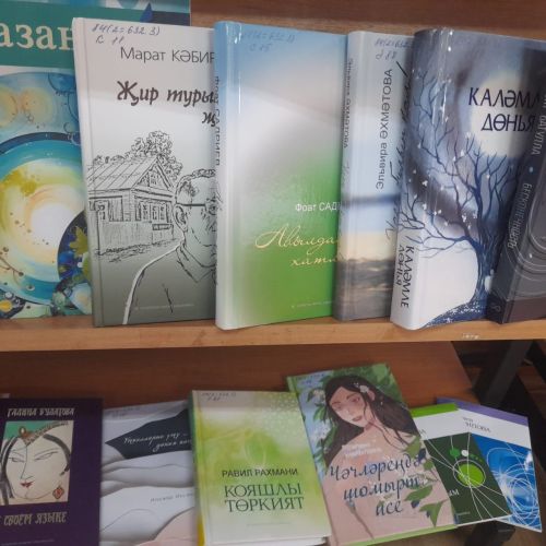 В Лаишевской библиотеке открылась новая выставка краеведческих книг