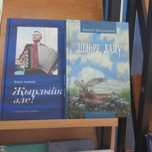 В Лаишевской библиотеке открылась новая выставка краеведческих книг