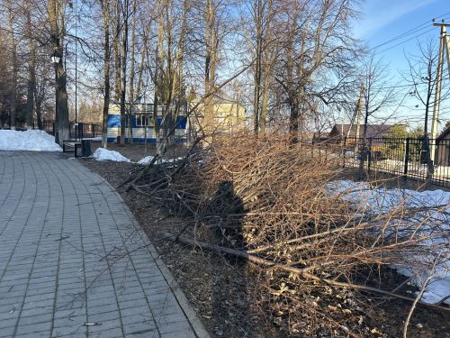 В Лаишевском парке Победы провели санитарный спил веток