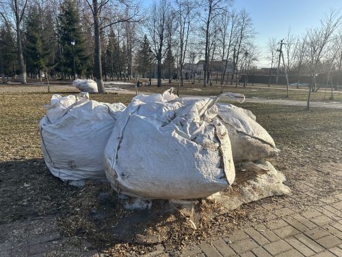 В Лаишевском парке Победы провели санитарный спил веток