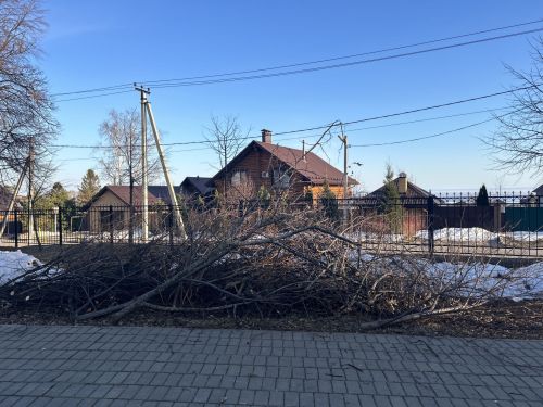 В Лаишевском парке Победы провели санитарный спил веток