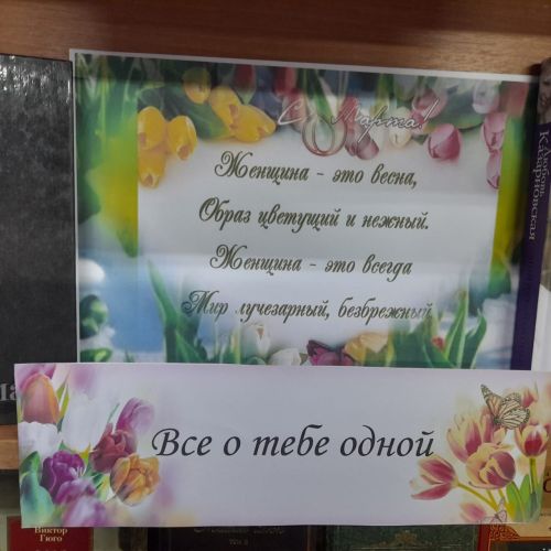 В Лаишевской библиотеке представлена выставка «Ее Величество женщина»