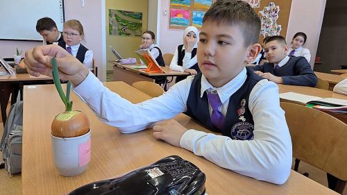 Жители Лаишевского района соревновались в «луковых гонках»