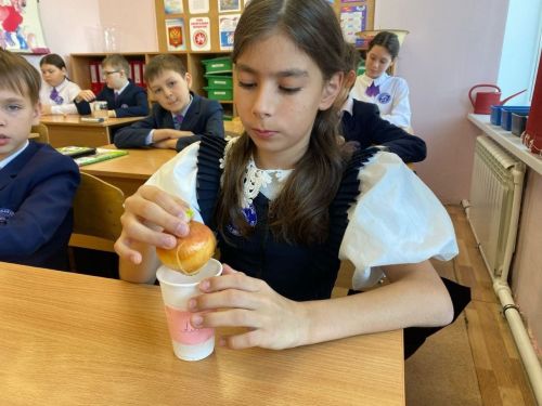 Жители Лаишевского района соревновались в «луковых гонках»