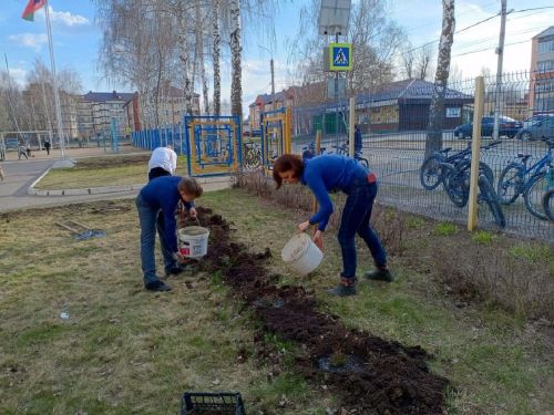 Шестиклассники Лаишевского района высадили деревья в память о победителях фашизма
