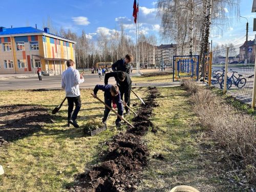 Шестиклассники Лаишевского района высадили деревья в память о победителях фашизма