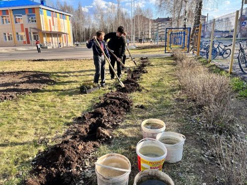 Шестиклассники Лаишевского района высадили деревья в память о победителях фашизма