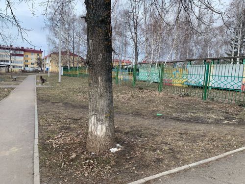 Лаишевский субботник 2025: вместе за экологию!