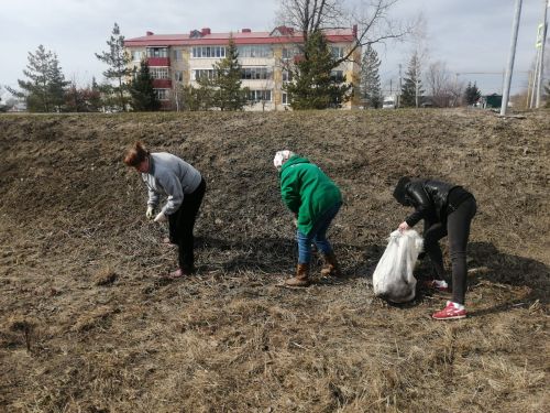 Лаишевский субботник 2025: вместе за экологию!