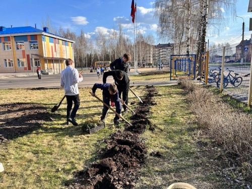 Лаеш районының алтынчы сыйныф укучылары фашизмны җиңүчеләр истәлегенә агачлар утырттылар