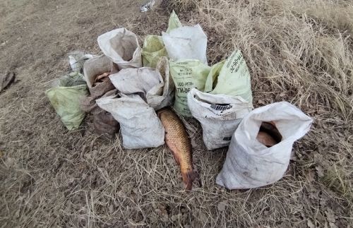 Браконьеру грозит до двух лет лишения свободы