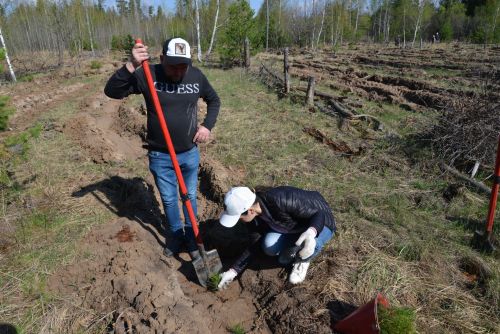 Добровольцы приехали в Лаишевский район, чтобы высадить деревья