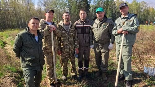 Добровольцы приехали в Лаишевский район, чтобы высадить деревья