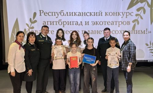 В Лаишевском районе соревновались школьные агитбригады и театры