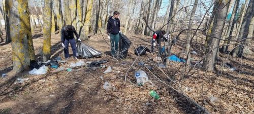 Лаишевские волонтеры очистили берег Камы