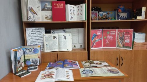 В Лаишевском районе началась первая неделя «Эковесны»