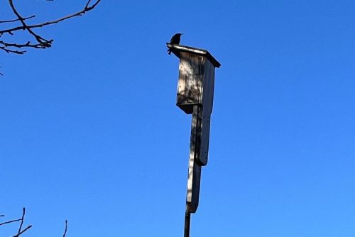 В Лаишевском районе началась первая неделя «Эковесны»