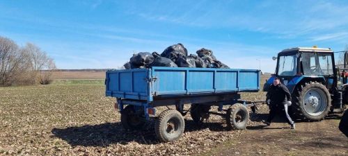 Лаеш волонтерлары Кама ярын чистарттылар