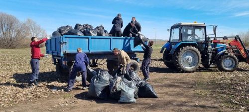 Лаеш волонтерлары Кама ярын чистарттылар