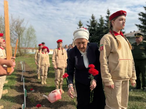 В Лаишевской школе № 2 появилась «Аллея Памяти»