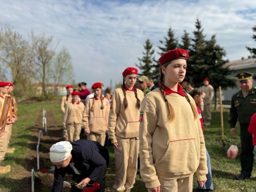 В Лаишевской школе № 2 появилась «Аллея Памяти»