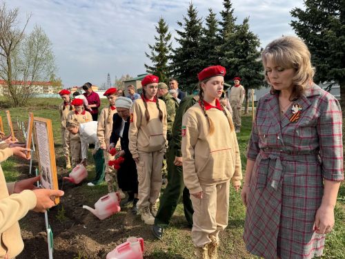 В Лаишевской школе № 2 появилась «Аллея Памяти»