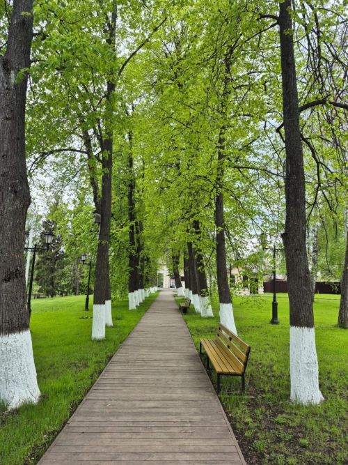 Удивительное рядом: Знакомство с городом Тетюши