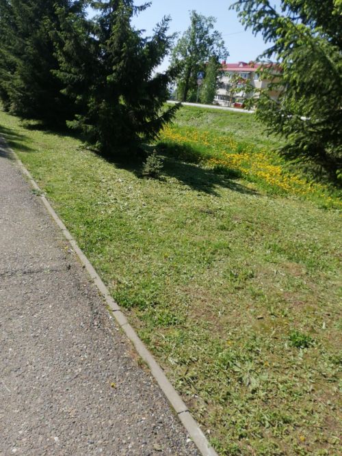 Городской субботник объединил жителей
