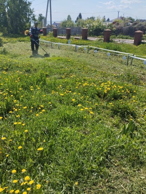 Городской субботник объединил жителей