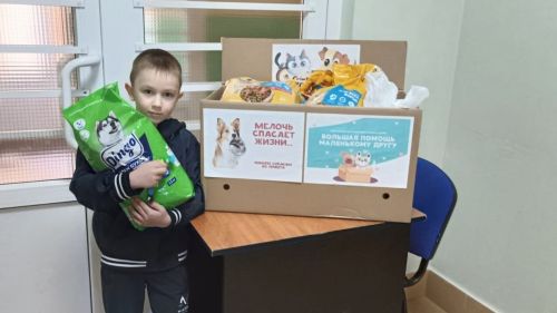 Дети Лаишевского района и их родители собрали корм для собак из приюта