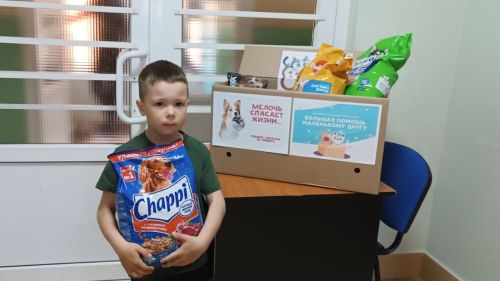 Дети Лаишевского района и их родители собрали корм для собак из приюта
