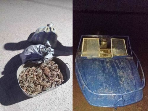 Двое жителей Татарстана задержаны за незаконный вылов раков