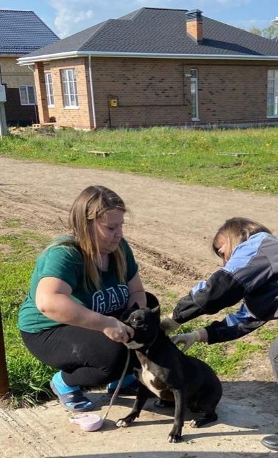 В селе Каипы Лаишевского района прошла ветеринарная акция